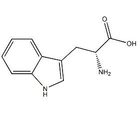 d-tryptophan structural formula