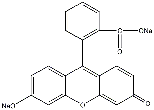 sodium fluorescein structural formula
