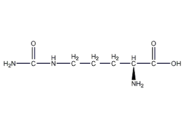 citrulline structural formula
