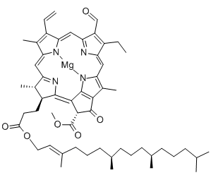 chlorophyll b structural formula