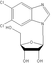 5,6-dichloro-1-β-d-ribofuranosylbenzimidazole structural formula